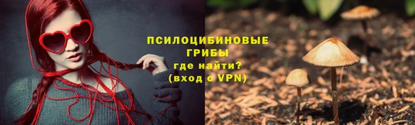 гашик Белоозёрский