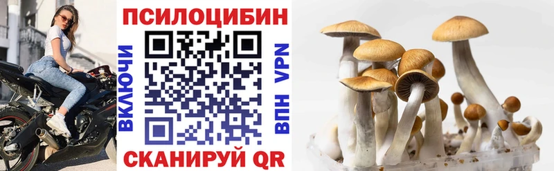 Псилоцибиновые грибы мухоморы купить закладку Добрянка
